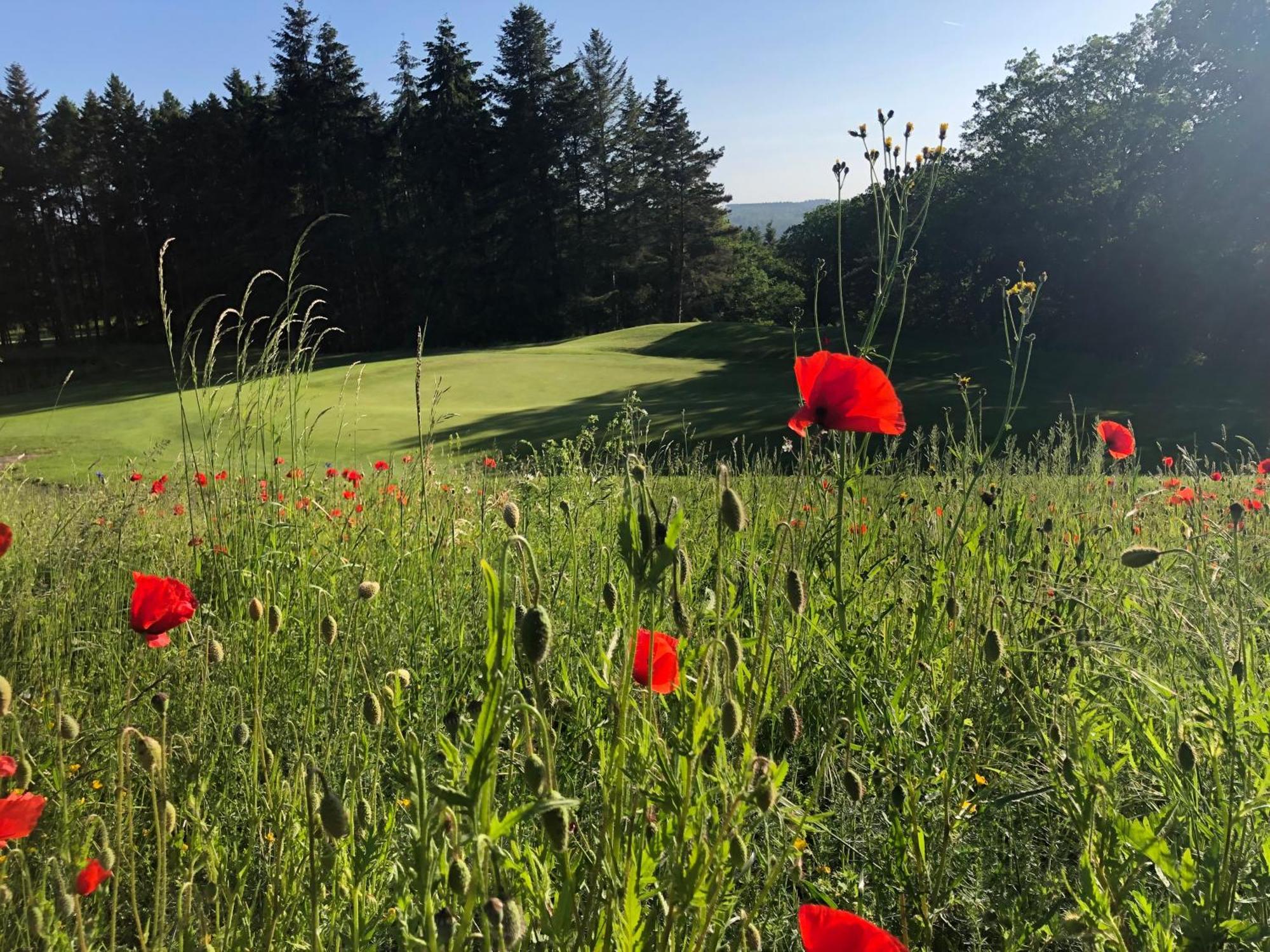 Gaestehaus Koehler Waldsolms Bagian luar foto