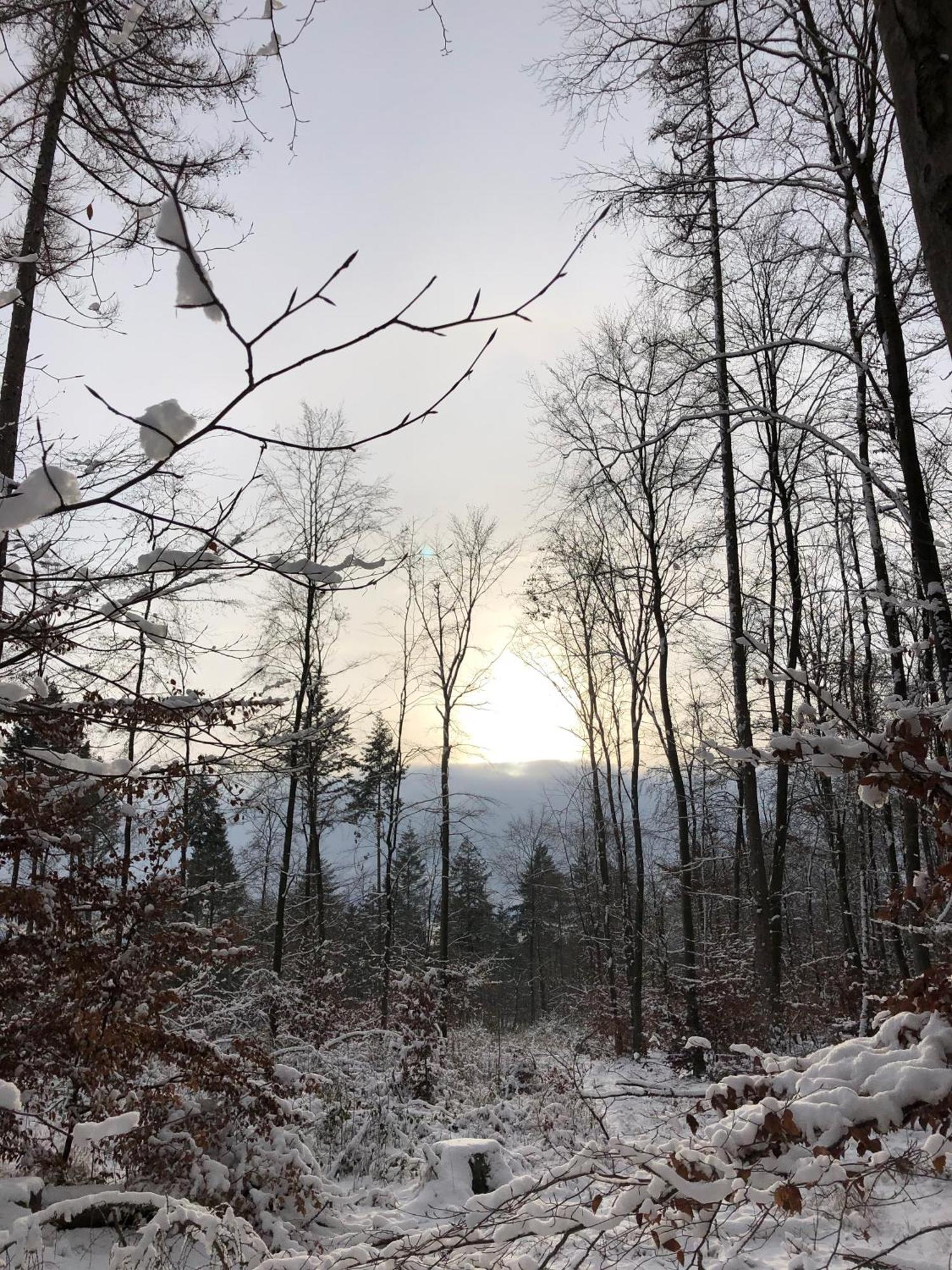 Gaestehaus Koehler Waldsolms Bagian luar foto