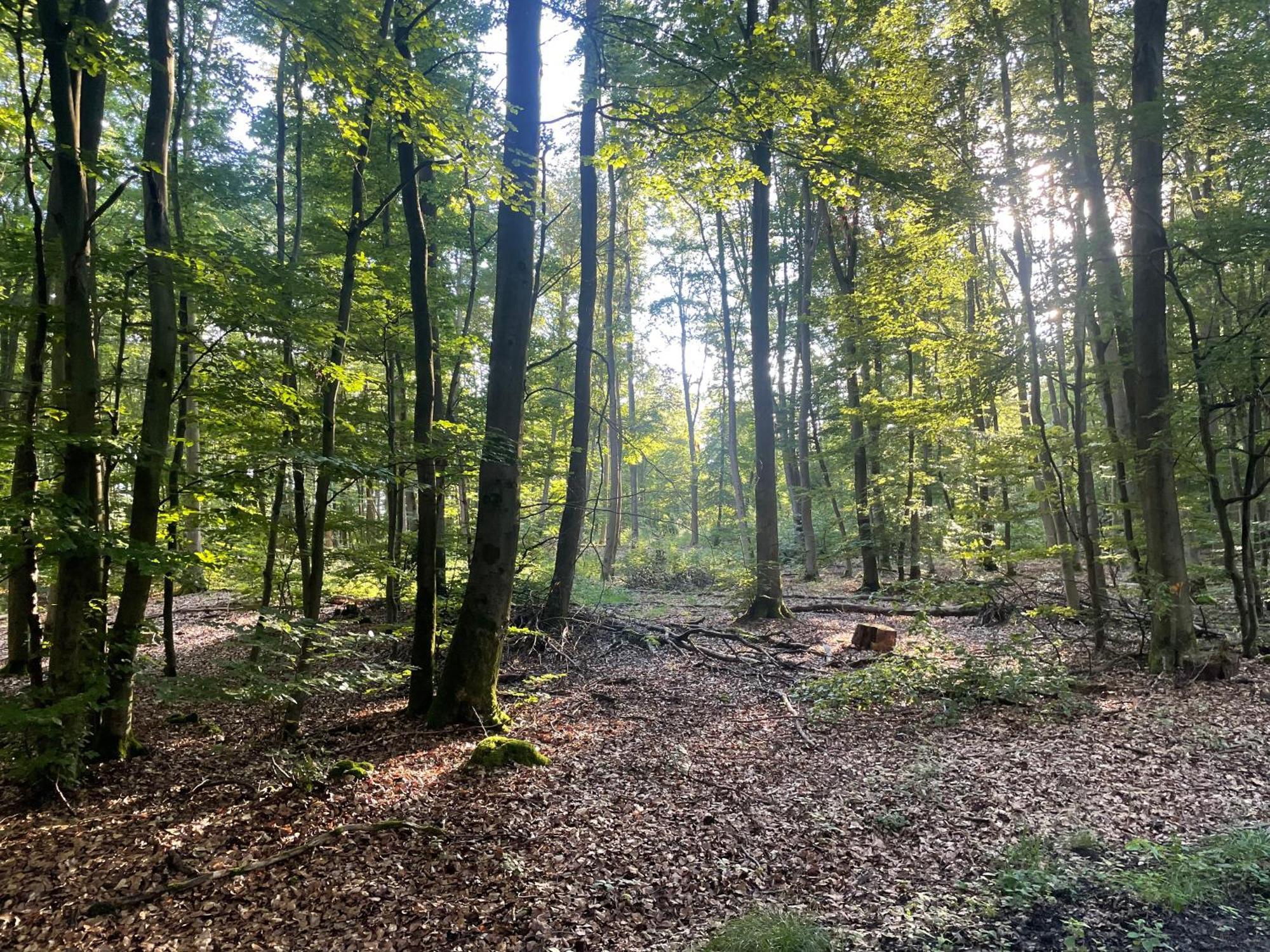 Gaestehaus Koehler Waldsolms Bagian luar foto
