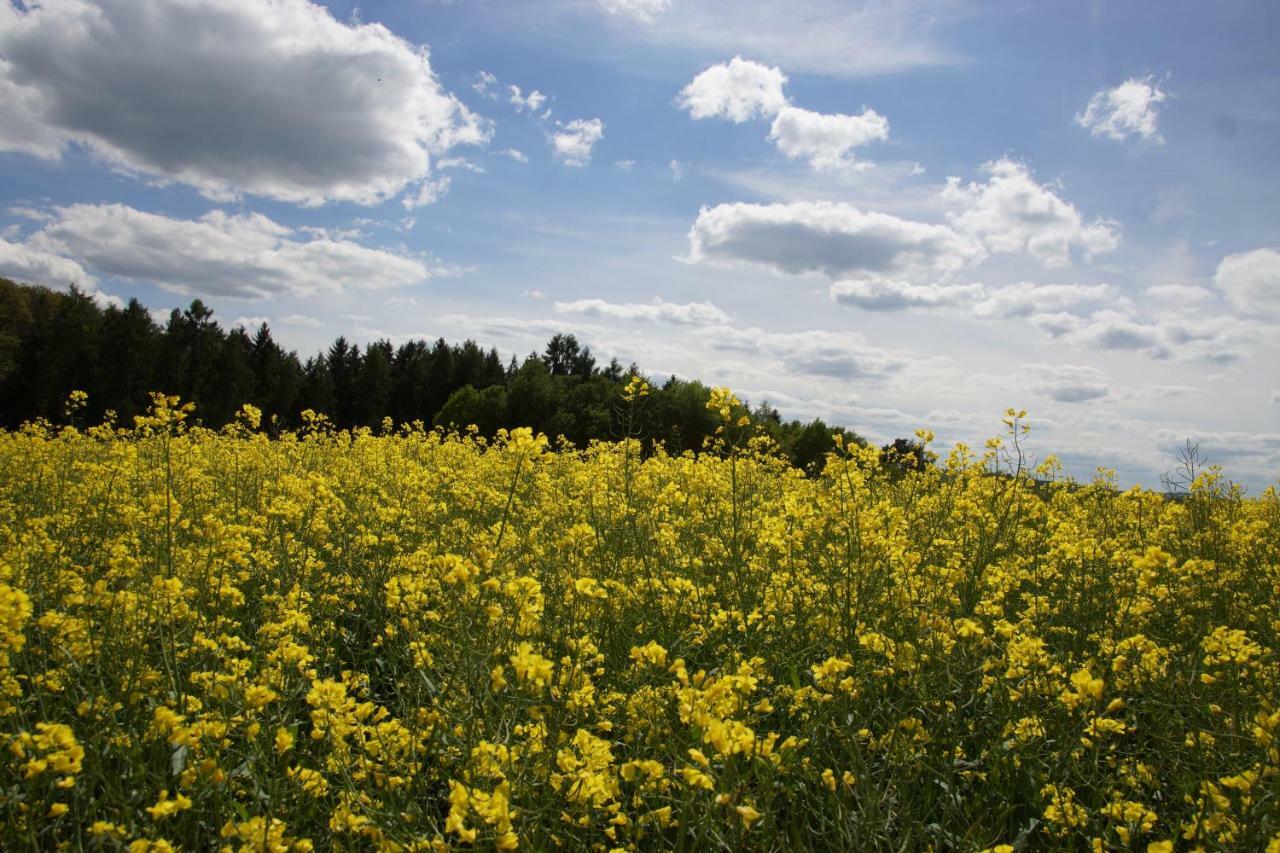 Gaestehaus Koehler Waldsolms Bagian luar foto
